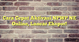 Cara Cepat Aktivasi NPWP NE Online, Lancar Ekspor!