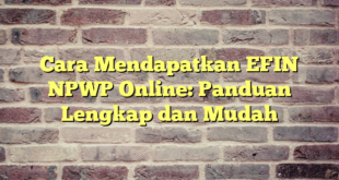 Cara Mendapatkan EFIN NPWP Online: Panduan Lengkap dan Mudah