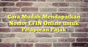 Cara Mudah Mendapatkan Nomor EFIN Online untuk Pelaporan Pajak